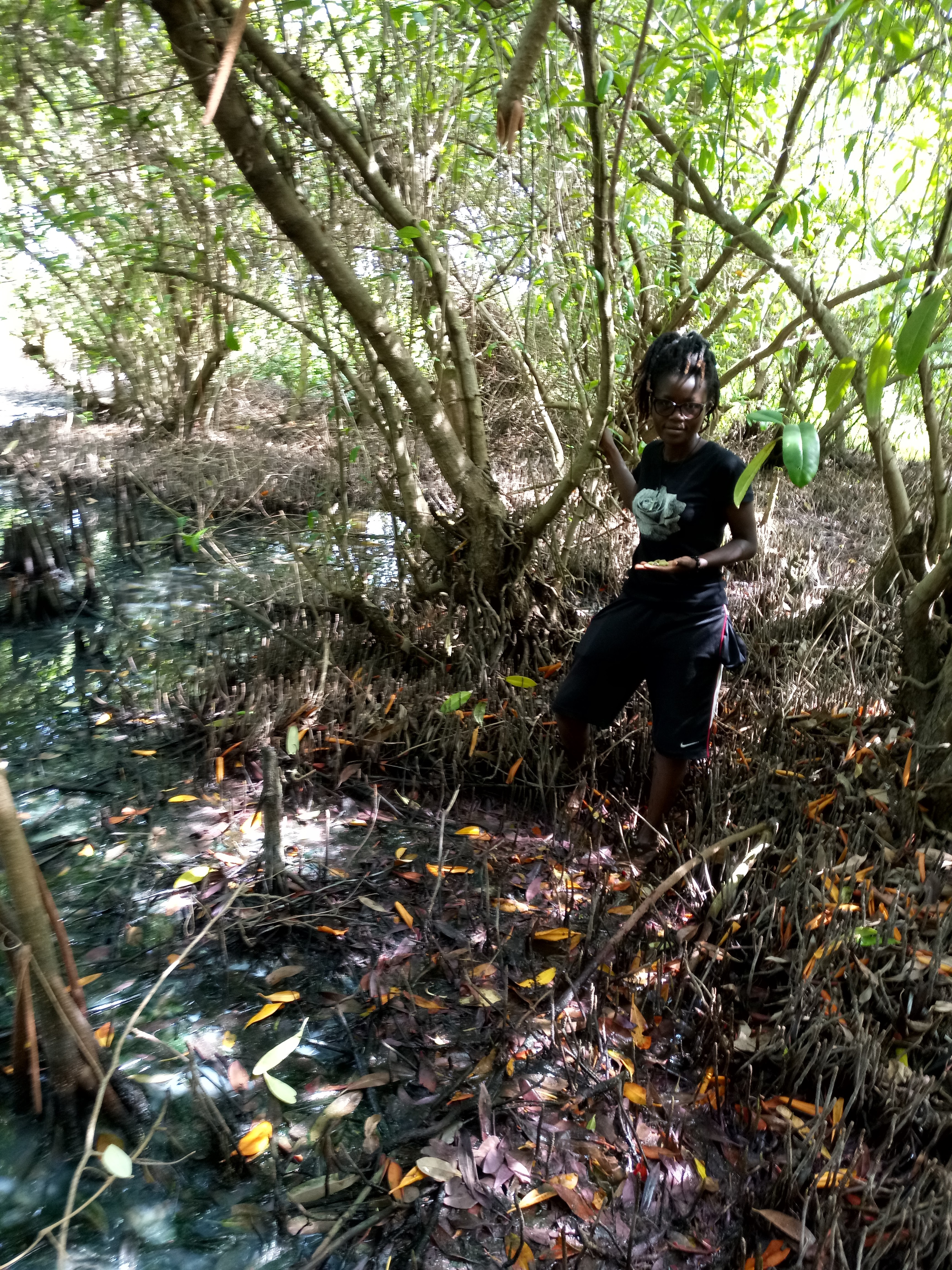 OPRE field work in mangrove ecosystem