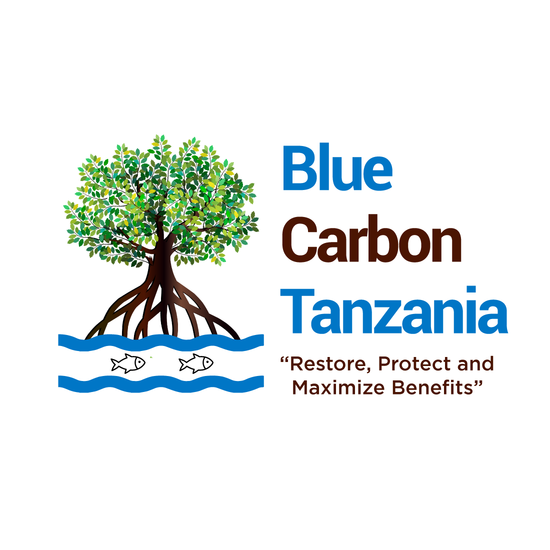 Blue-Carbon-Tanzania