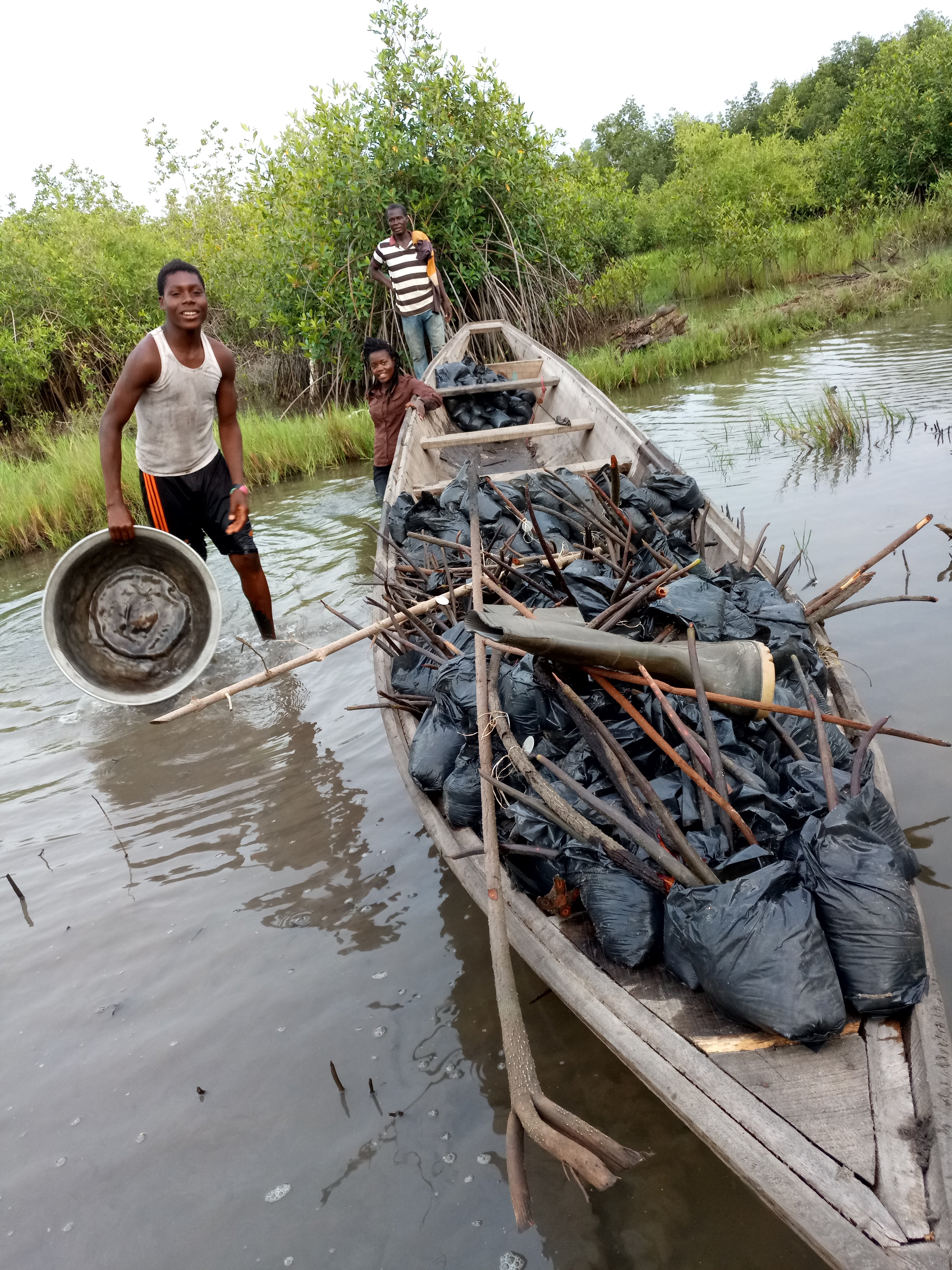 Team transporting seedlings by boat
